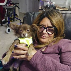 Meet your Posher, Joyce